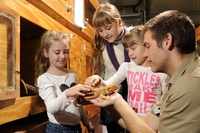 Visite des coulisses du zoo vie sauvage de Sydney