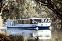 Déjeuner-croisière en remontant le Swan