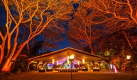 Cena en el Flames of the Forest en Cairns Cena en el Flames of the Forest en Cairns