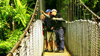 Mistico Park Hanging Bridges Guided Tour