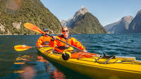 Dagtour kajakken op de Milford Sound Dagtour kajakken op de Milford Sound
