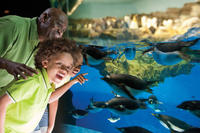 SeaWorld® San Antonio SeaWorld® San Antonio