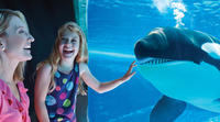 SeaWorld San Diego