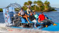 Gulf of Mexico Airboat Ride and Dolphin Quest from Homosassa