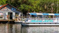 Scallop Hunt Expedition - Shared 10 Passenger Vessel with In-water Guide from Homosassa