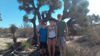 Joshua Tree National Park Van Tour