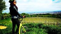 Small-Group Wachau Bike Tour with Wine Tasting from Vienna