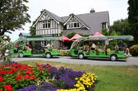 Christchurch Botanic Gardens Tour with Optional Hop-On Hop-Off Tram, Gondola and Avon River Punting