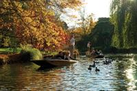  Punting on the Avon River with Optional Christchurch Gondola and Botanic Gardens Tour