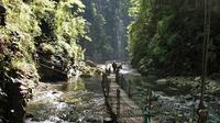 1 Day Private Tour of Most Beautiful Heishan Valley in Chongqing Including Lunch 