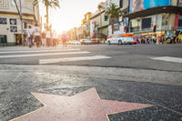 Best of Los Angeles with Movie Stars Homes Tour