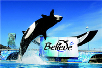 SeaWorld San Diego et Transport