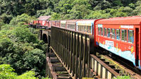 Serra Verde Express: Rail Tour to Morretes and Antoninna from Curitiba