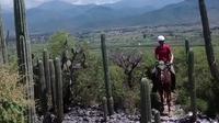 Exotic Flora Half-Day Guided Horseback Riding Tour