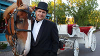 Horse-drawn carriage tours in Minneapolis
