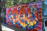 Visite pédestre sur l'art de la rue à East Harlem