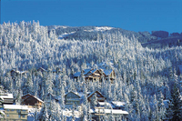Circuit privé: journée à Whistler, au départ de Vancouver