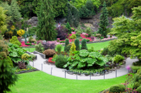 Excursion sur le littoral de Vancouver: Les Jardins de Vancouver