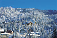 Private Tour: Whistler Day Trip from Vancouver