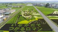 Half-Day Tour in Aomori: Inakadate Village Rice Paddy Art and Japanese Swords Experience