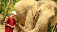 Half-Day Afternoon Visit to Elephant Jungle Sanctuary in Chiang Mai