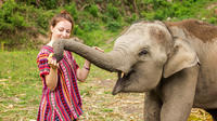 Half-Day Morning Visit to Elephant Jungle Sanctuary in Phuket