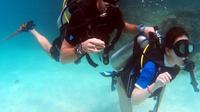 Half-Day PADI Discover Scuba Diving from Koh Phi Phi