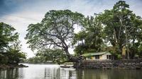 Full-Day Boat Tour of Las Isletas and Zopango Island from Granada