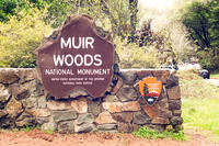 Private Muir Woods and Wine Country Tour from San Francisco