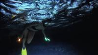 Night Snorkeling Tour in Cancun