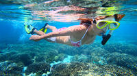 Snorkel Tour in Puerto Morelos from Cancun