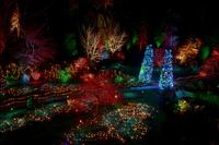 Butchart Gardens Holiday Lights and Dinner