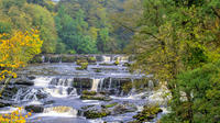 The Yorkshire Dales Tour from Windermere