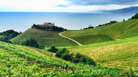 Cantabrian Coast Wine Tour from San Sebastian 