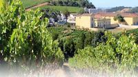 Vineyards of the West - Sierra Montejunto - Buddha Eden departure Óbidos