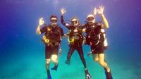 Discover Scuba Diving in St Thomas