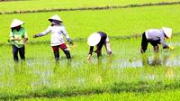 Authentic Mekong Private Day Tour