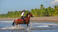 Beach Horseback Riding Adventure from Jaco 