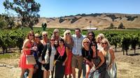 Daily Napa Wine Tasting Tour From San Francisco
