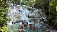 Dunn's River Falls and Jamaican Sightseeing Tour