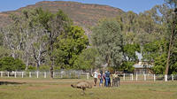 Yura Udnyu - Wilpena Pound Aboriginal Cultural Walk image 1 Yura Udnyu - Wilpena Pound Aboriginal Cultural Walk image 1