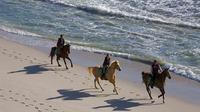 Horseback Riding Tour from Punta Cana