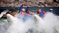 Half-Day Thompson River Motorized Rafting