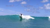 East Side of Oahu Surfing Tour