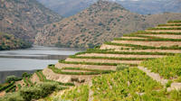 Douro Valley Luxury Tour