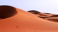 Wüstensafari in einem Allradfahrzeug mit Sandskifahren und Kamelritt ab Dubai Wüstensafari in einem Allradfahrzeug mit Sandskifahren und Kamelritt ab Dubai