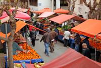 Santiago Like a Local: Private Walking Tour with Coffee, Markets, Street Food and San Cristobal Hill