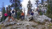 Yosemite and Tahoe Sierras Tour from San Francisco