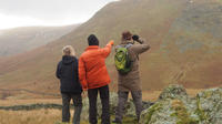 3-Hour Deer Watch Walk from Ullswater