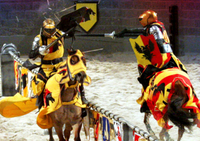 Dîner à Medieval Times et tournoi with transports